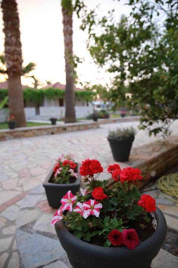 Margarita Hotel Лаганас Экстерьер фото
